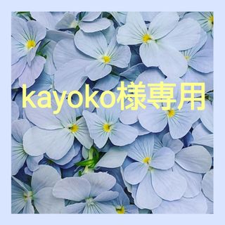 美麗翡翠葛!【黒色ヒスイカズラ④】ジェイドバイン 種子5粒の 美麗翡翠葛!【黒色ヒスイカズラ④】ジェイドバイン 種子5粒の