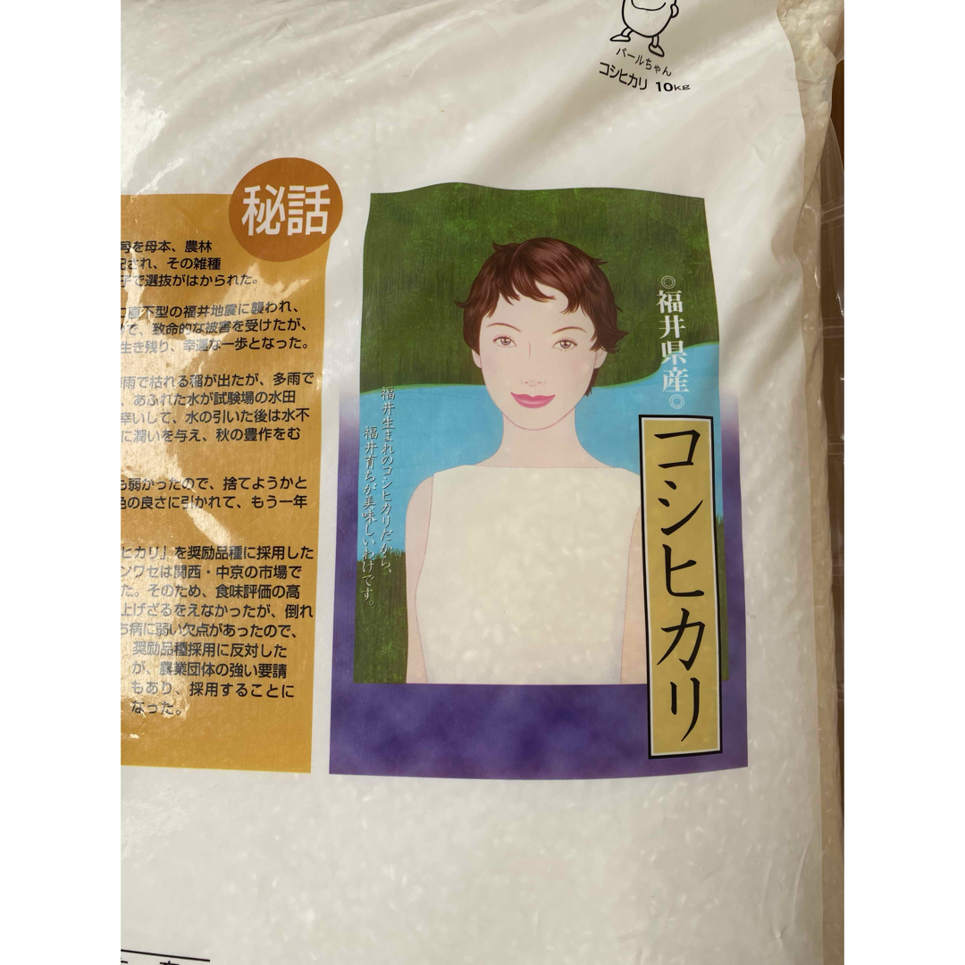 福井県産 コシヒカリ 10kg 令和6年産 白米 【4月下旬精米】の 福井県産 コシヒカリ 10kg 令和6年産 白米 【4月下旬精米】の