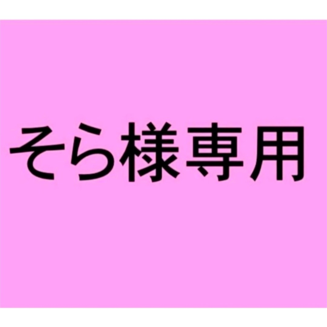 そら様専用 エンタメ/ホビーのタレントグッズ(アイドルグッズ)の商品写真