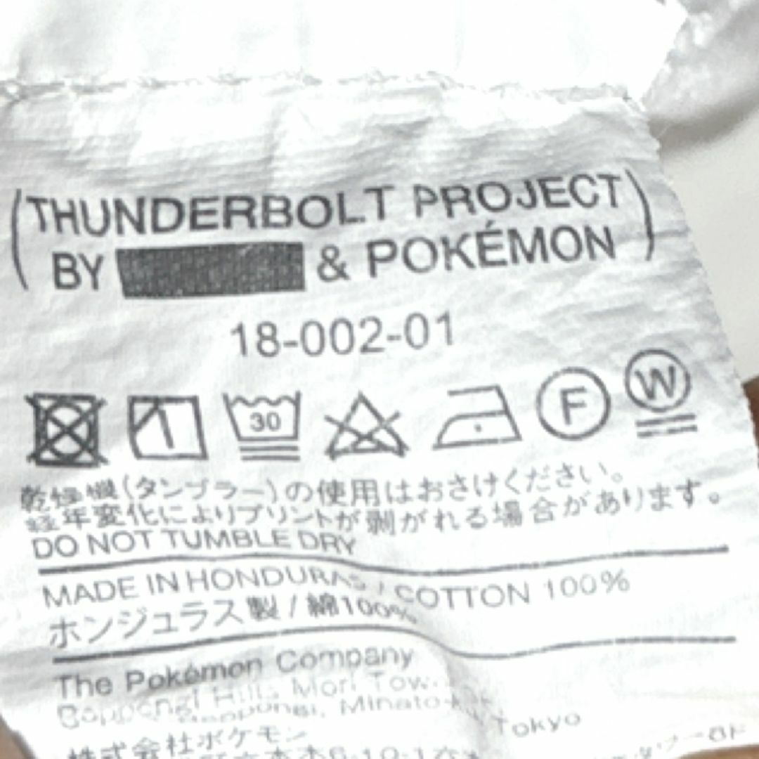FRAGMENT - フラグメント ポケモン サンダーボルトプロジェクト FRAGMENT - フラグメント ポケモン サンダーボルトプロジェクト
