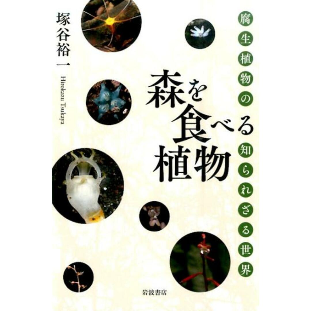 森を食べる植物 腐生植物の知られざる世界/岩波書店/塚谷裕一(単行本(ソフトカバー)) エンタメ/ホビーの本(科学/技術)の商品写真