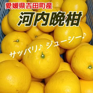 3キロ-1》主に小さい グリーンマンゴー 約3kg 青マンゴー 加工 3キロ-1》主に小さい グリーンマンゴー 約3kg 青マンゴー 加工
