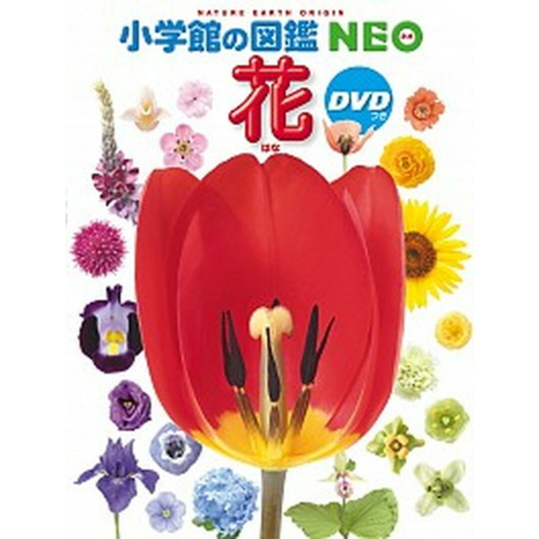 花 /小学館/多田多恵子(大型本) エンタメ/ホビーの本(絵本/児童書)の商品写真