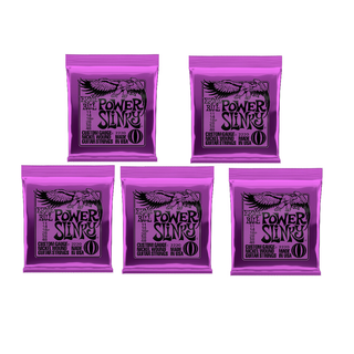 【5個】ERNIE BALL 2220 エレキギター弦 (11-48)(弦)