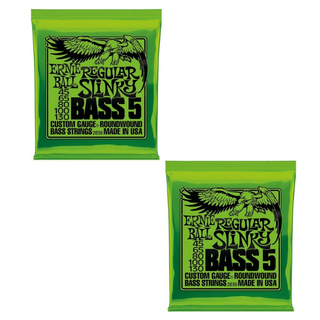 【2個】ERNIE BALL 2836 ベース弦 5弦 (45-130)(弦)