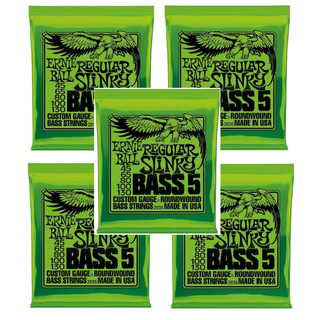 【5個】ERNIE BALL 2836 ベース弦 5弦 (45-130)(弦)