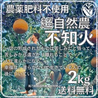 Disney - ドライフルーツ マンゴー スティッチの通販 by Disney - ドライフルーツ マンゴー スティッチの通販 by