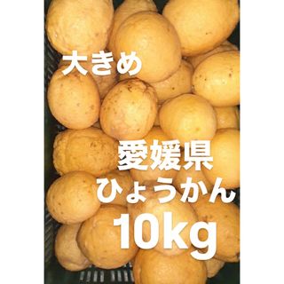 3キロ-1》主に小さい グリーンマンゴー 約3kg 青マンゴー 加工 3キロ-1》主に小さい グリーンマンゴー 約3kg 青マンゴー 加工