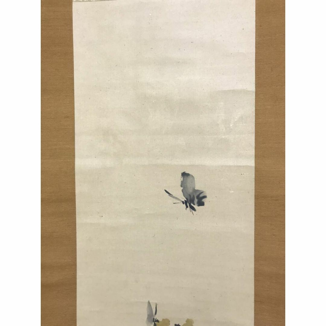 真作/谷文晁/菜の花に蝶図/花鳥図/春の掛軸/掛軸☆宝船☆AI-816 真作/谷文晁/菜の花に蝶図/花鳥図/春の掛軸/掛軸☆宝船☆AI-816