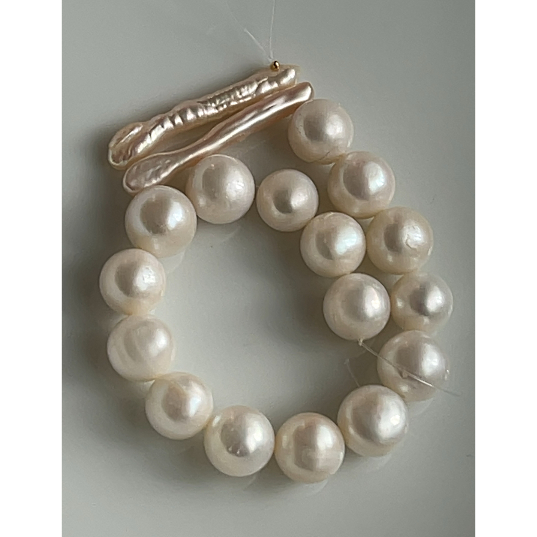 超絶希少！多肉植物シリーズ・エケベリア属・コッキネア・モンストinわけけのお店 超絶希少！多肉植物シリーズ・エケベリア属・コッキネア