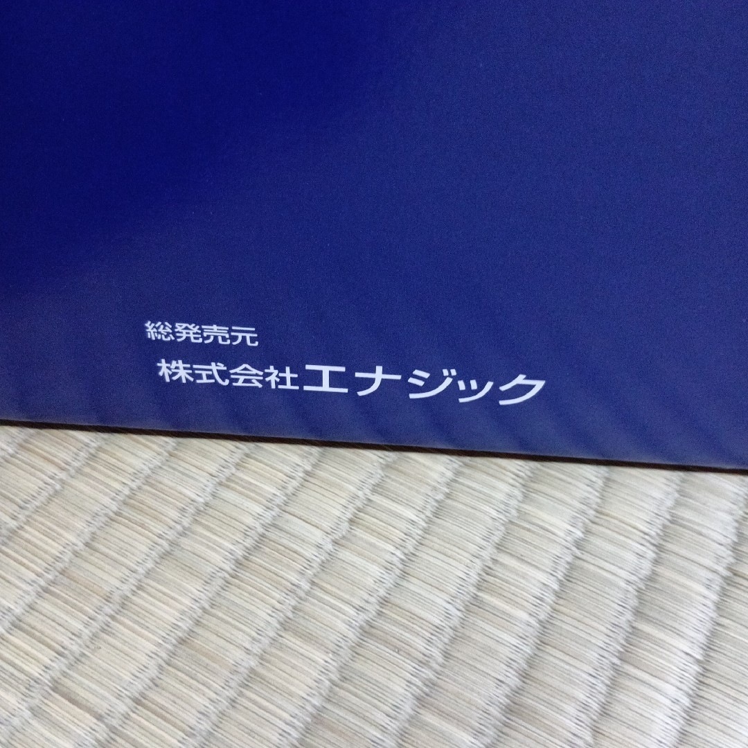 未開封品 ジャンク エナジックレベラックDX 還元水生成浄水器の 未開封品 ジャンク エナジックレベラックDX 還元水生成浄水器の