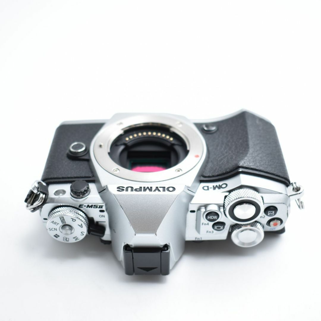 B#7606 OM-D E-M5 MarkII ボディー シルバー の通販 by Makana B#7606 OM-D E-M5 MarkII ボディー シルバー の通販 by Makana