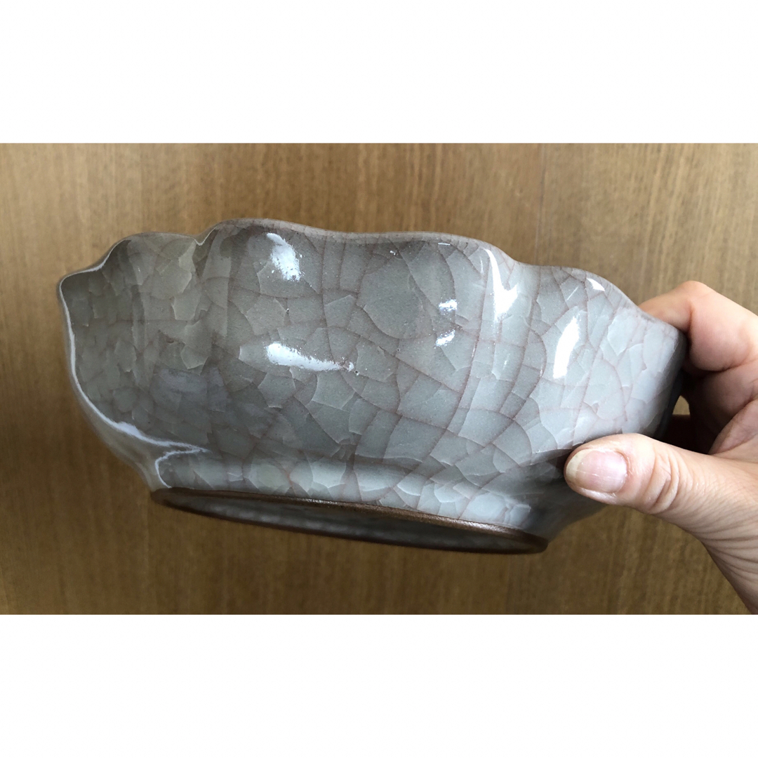 たち吉 - 【昭和レトロ】橘吉 たち吉 タチキチ 和食器 深皿 の たち吉 - 【昭和レトロ】橘吉 たち吉 タチキチ 和食器 深皿 の