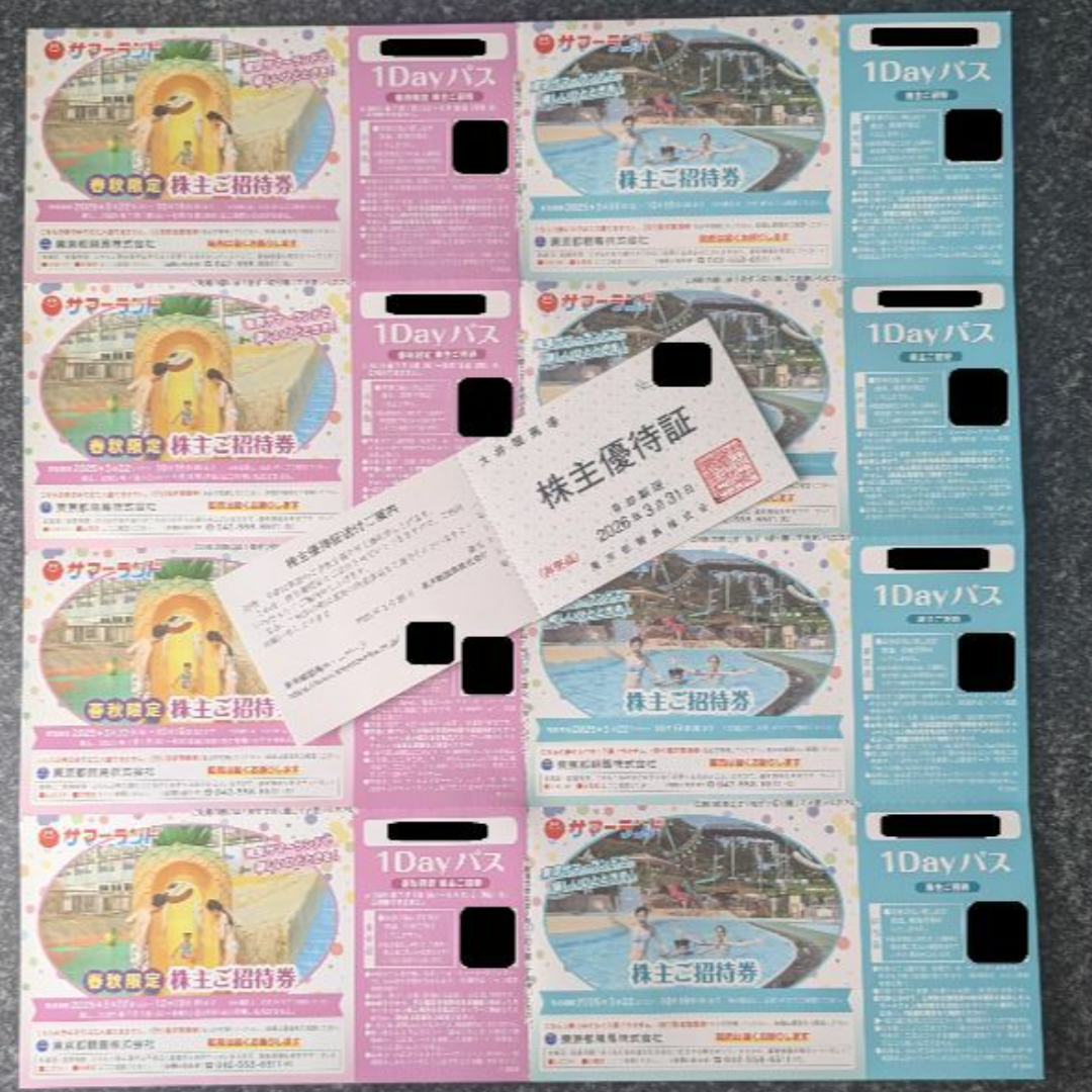東京サマーランド ワンデーパス 東京都競馬 株主優待券 チケットの優待券/割引券(その他)の商品写真