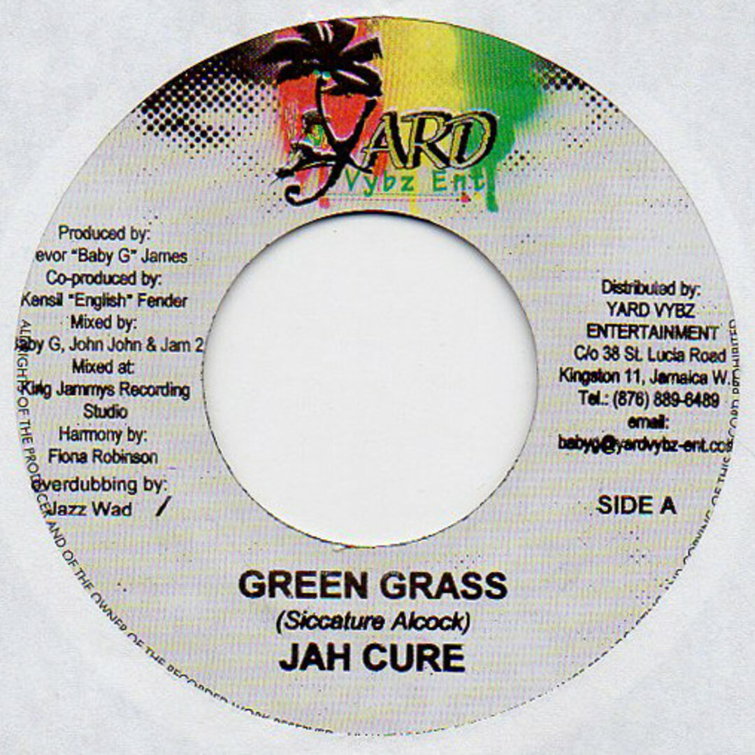 ジャマイカ7" Jah Cure Green Grass NONE Yard Vybz Ent. /00080 エンタメ/ホビーのエンタメ その他(その他)の商品写真