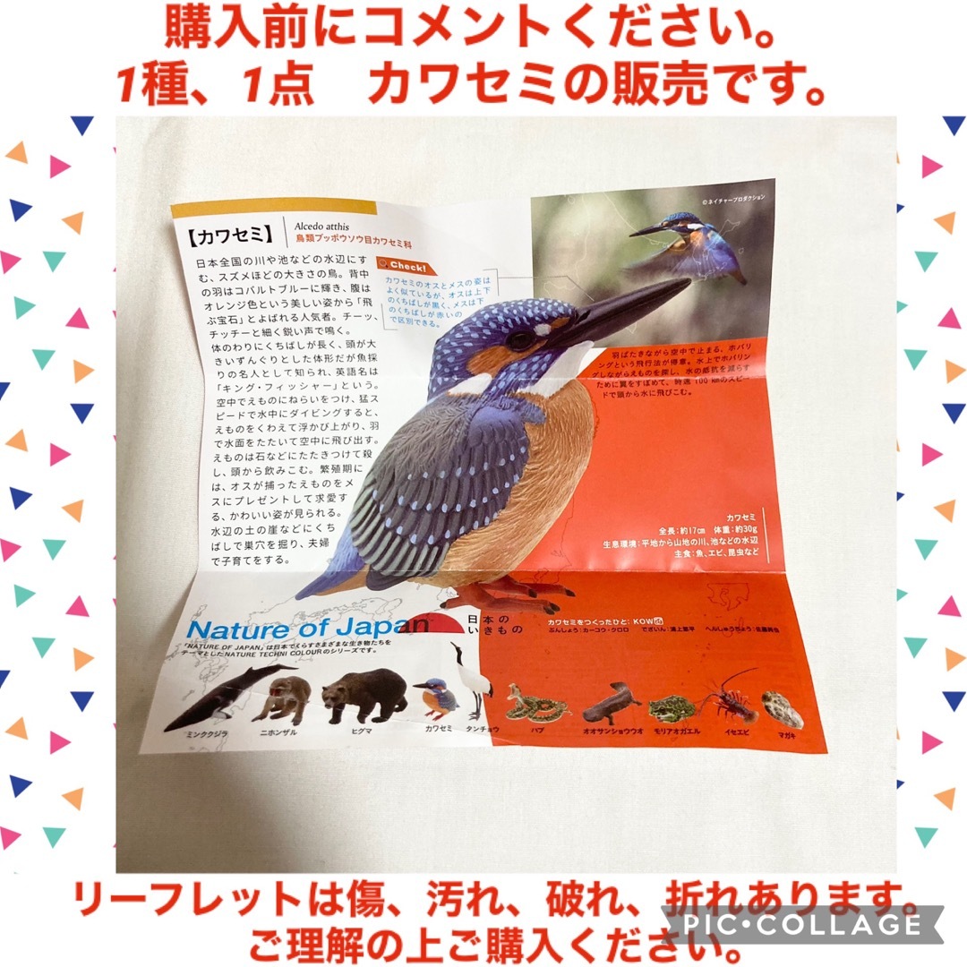 日本のいきもの 1点 カワセミ ガチャガチャ いきもん ネイチャー 日本のいきもの 1点 カワセミ ガチャガチャ いきもん ネイチャー