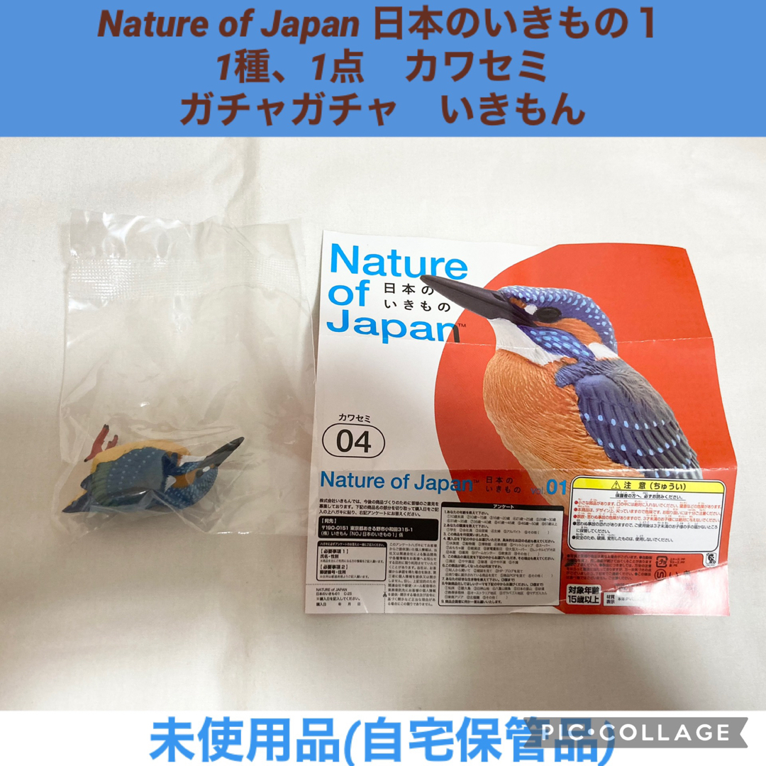 日本のいきもの 1点 カワセミ ガチャガチャ いきもん ネイチャー 日本のいきもの 1点 カワセミ ガチャガチャ いきもん ネイチャー