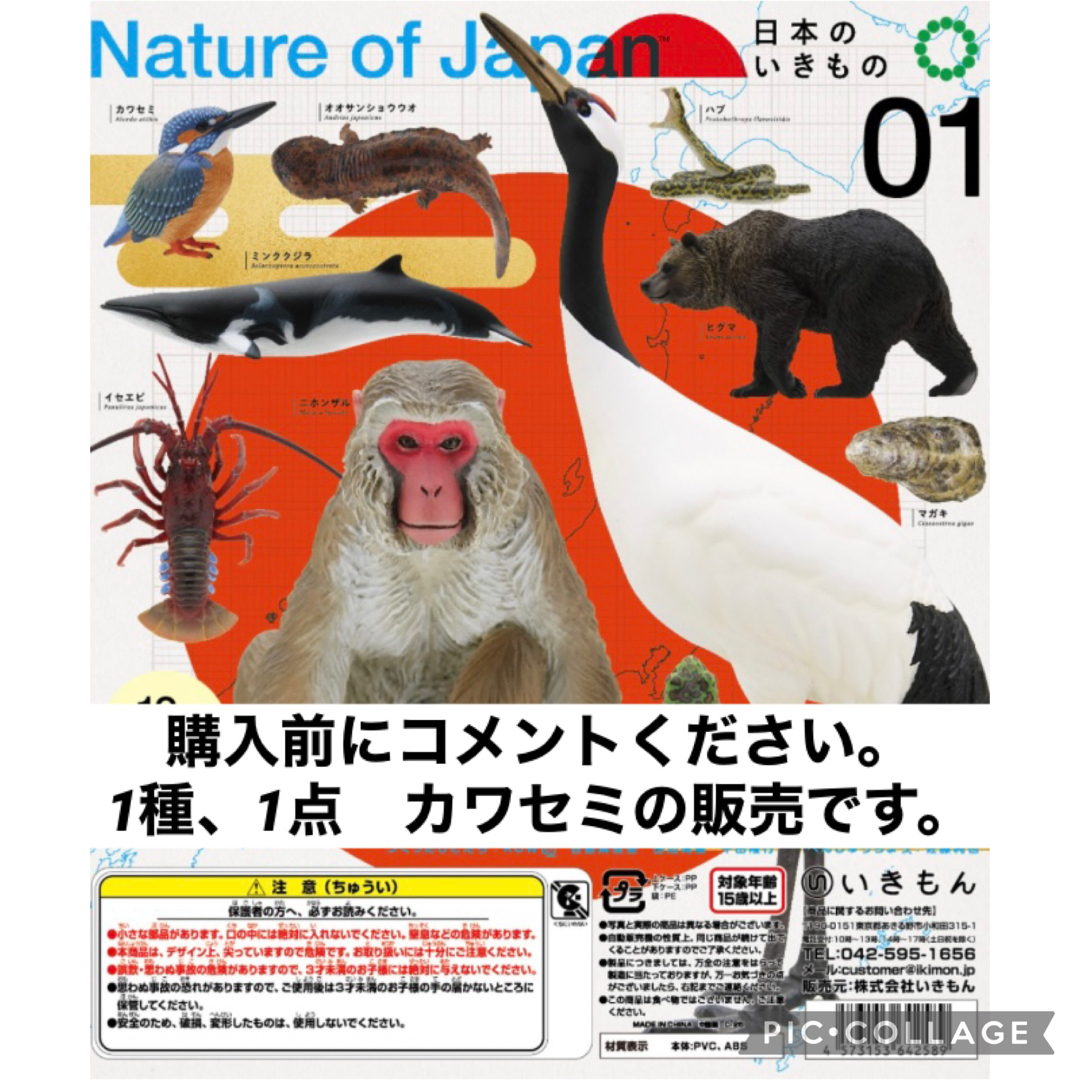 日本のいきもの 1点 カワセミ ガチャガチャ いきもん ネイチャー 日本のいきもの 1点 カワセミ ガチャガチャ いきもん ネイチャー