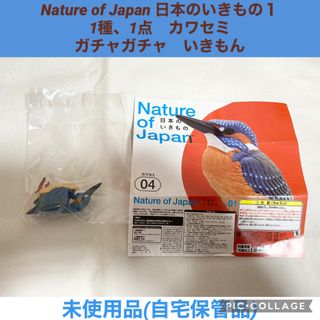 VAGおおかみくん あらいきりこ 全5種セット【限定発売】の通販 VAGおおかみくん あらいきりこ 全5種セット【限定発売】の通販