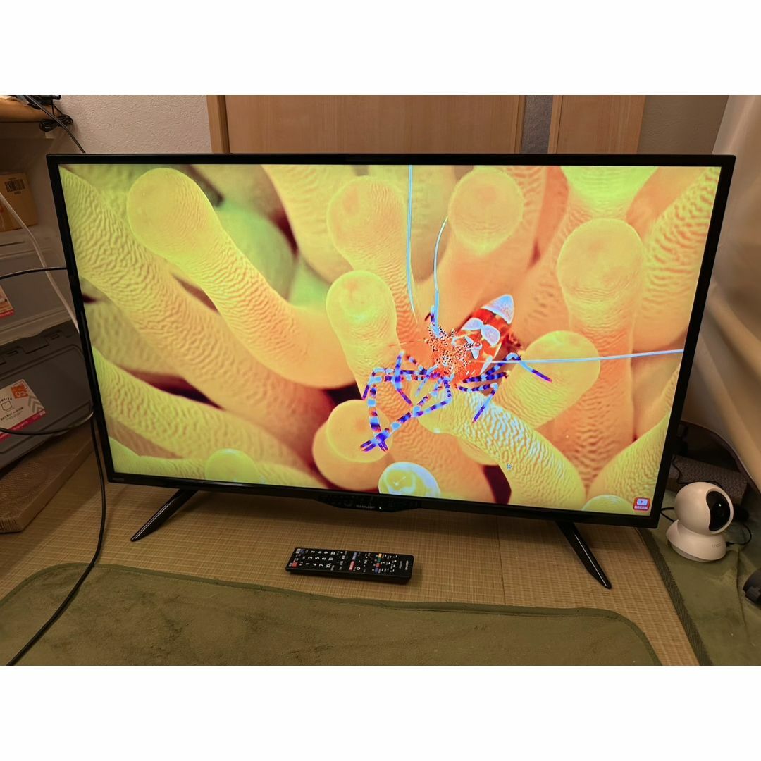 SHARP - 20年製綺麗!SHARP シャープ 40型 4K テレビ 4T-C40BH1 SHARP - 20年製綺麗!SHARP シャープ 40型 4K テレビ 4T-C40BH1