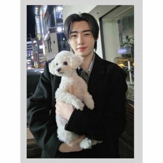 【EN-845：SUNGHOON(ソンフン)】／ENHYPEN 写真L版(アイドルグッズ)