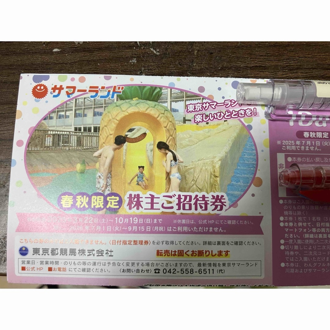 東京都競馬 株主優待券 東京サマーランド 1Dayパス 春秋限定 4枚 東京都競馬 株主優待券 東京サマーランド 1Dayパス 春秋限定 4枚