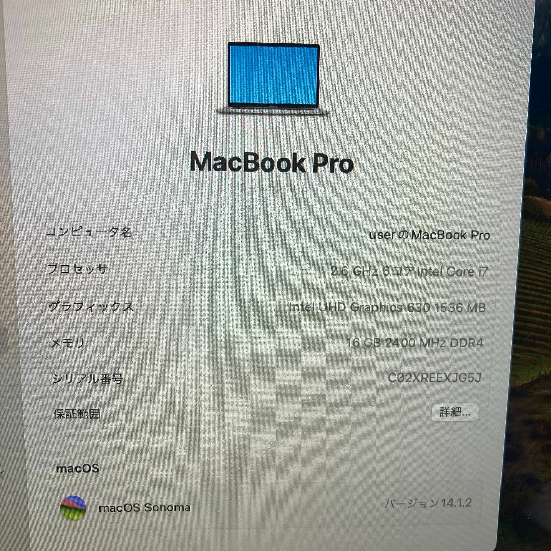Apple MacBook Pro Core i7 ノートパソコン （B11）