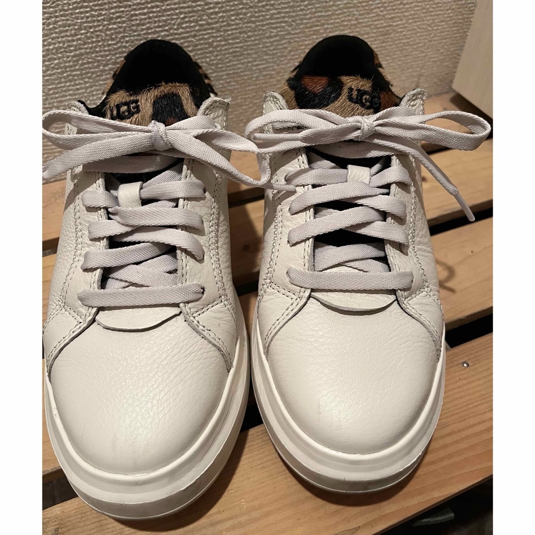 UGG - UGG スニーカー 23cmの通販 by りんごshop|アグならラクマ UGG - UGG スニーカー 23cmの通販 by りんごshop|アグならラクマ