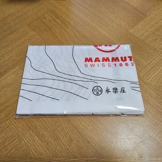 AURALEE - AURALEE x TEKLA ONSEN TOWEL ミスト オーラリーの AURALEE - AURALEE x TEKLA ONSEN TOWEL ミスト オーラリーの