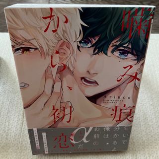 【即日発送】「噛み痕から、初恋」(ボーイズラブ(BL))