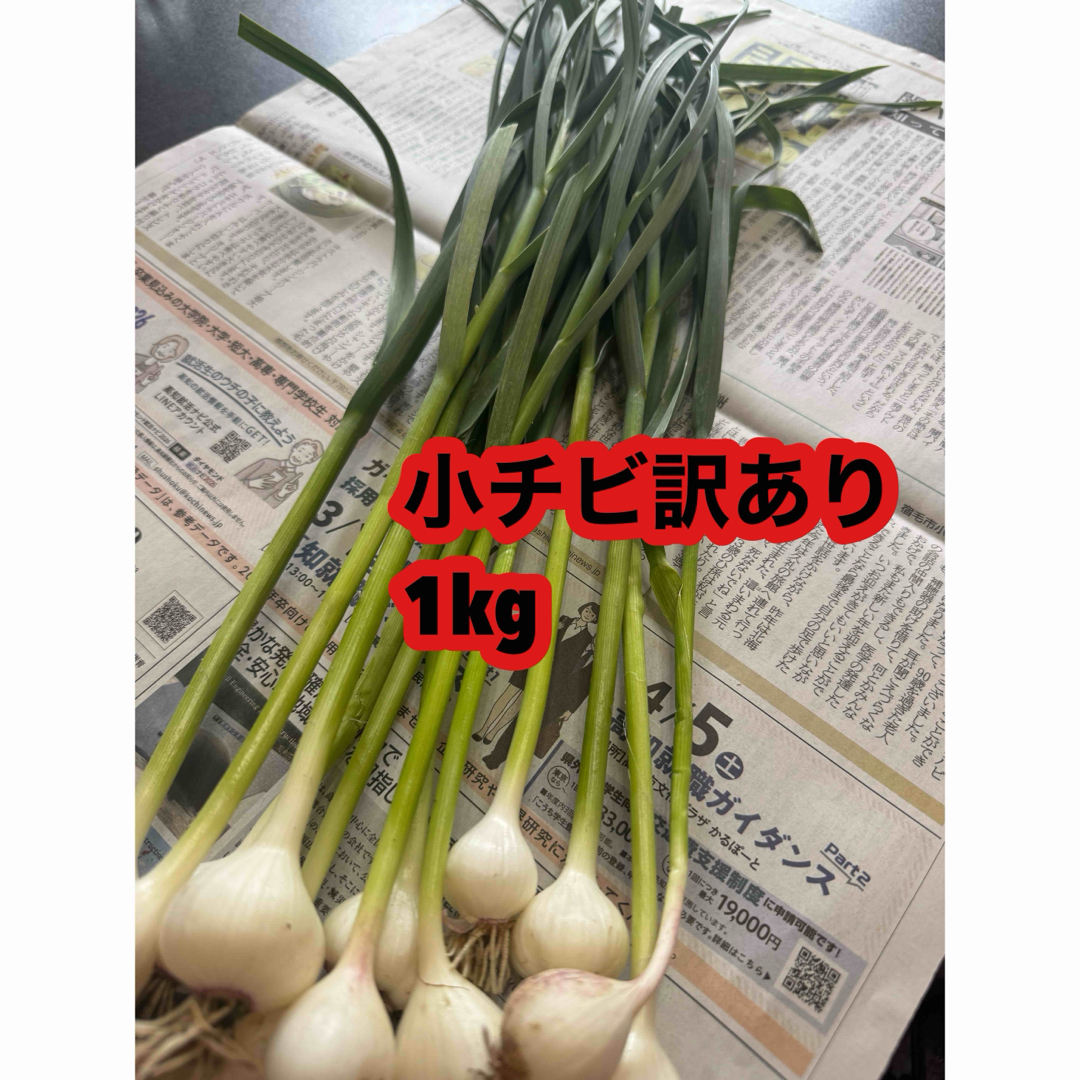 高知県産葉にんにく 葉ニンニク 野菜 産地直送mdajgの通販 by 高知県産葉にんにく 葉ニンニク 野菜 産地直送mdajgの通販 by