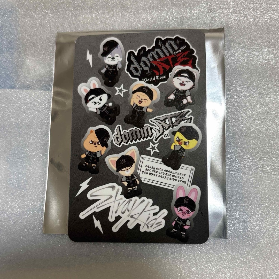Stray Kids - StrayKids チャンビン Changbin ポップアップ 特典 Stray Kids - StrayKids チャンビン Changbin ポップアップ 特典