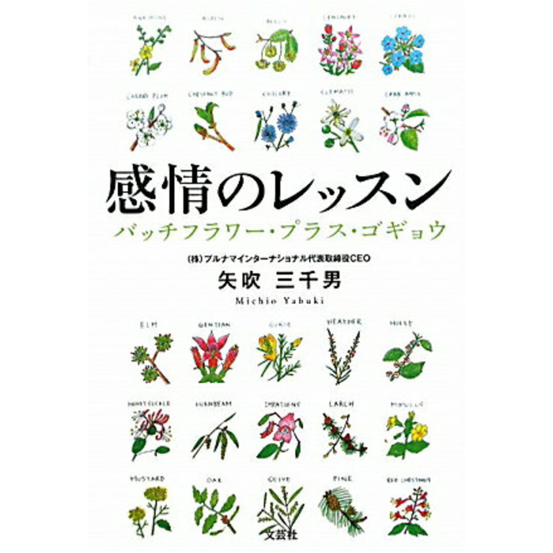 感情のレッスン バッチフラワ-・プラス・ゴギョウ /文芸社/矢吹三千男(単行本(ソフトカバー)) エンタメ/ホビーの本(人文/社会)の商品写真