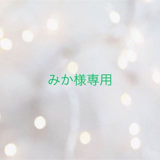 みか様専用(ハンドバッグ)