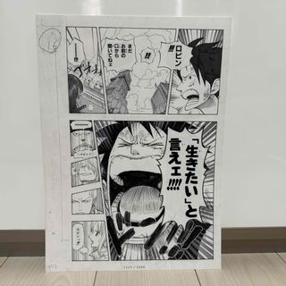 ワンピース 複製のフリマアイテム一覧 ワンピース 複製のフリマアイテム一覧