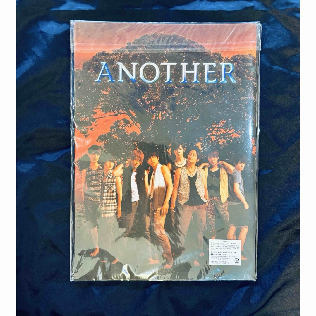 ジャニーズWEST(ジャニーズウエスト)のANOTHER 2013 日生劇場 パンフレット エンタメ/ホビーのタレントグッズ(アイドルグッズ)の商品写真