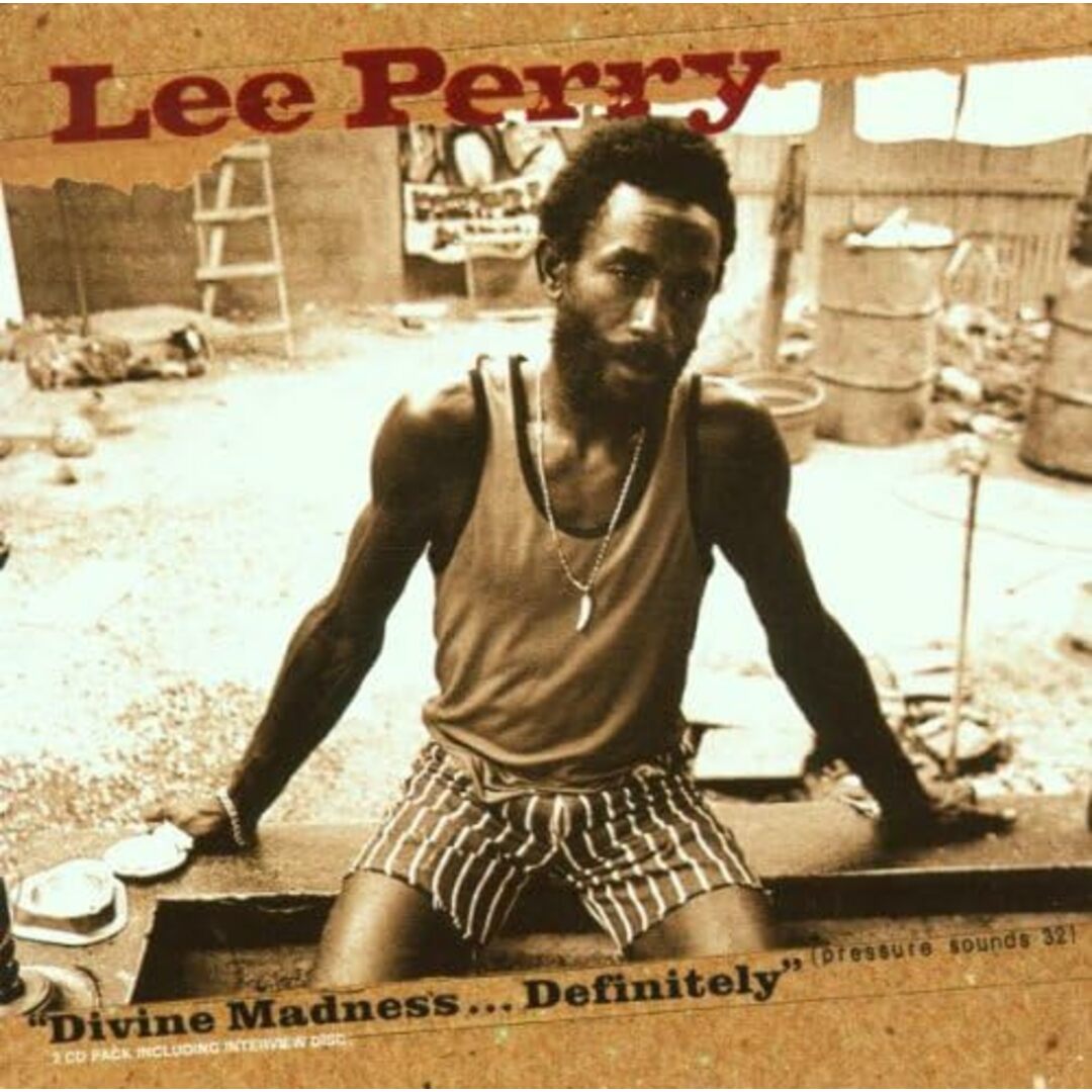 英2discs LP Lee Perry Divine Madness: Definitely (2LP) PSLP032 Pressure Sounds UK /00466 エンタメ/ホビーのエンタメ その他(その他)の商品写真