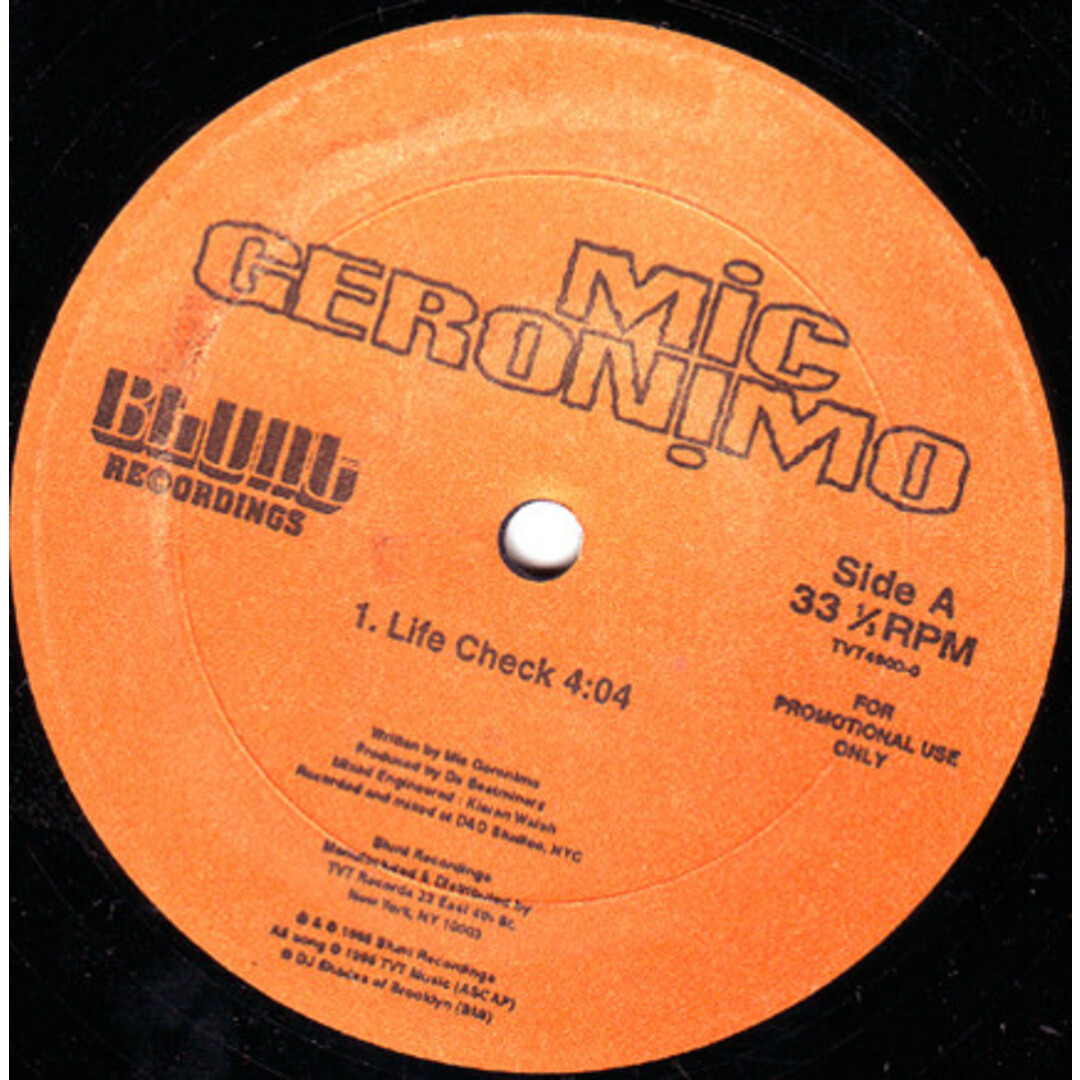 米12” Mic Geronimo Life Check TVT49000 Blunt Recordings /00250 エンタメ/ホビーのエンタメ その他(その他)の商品写真