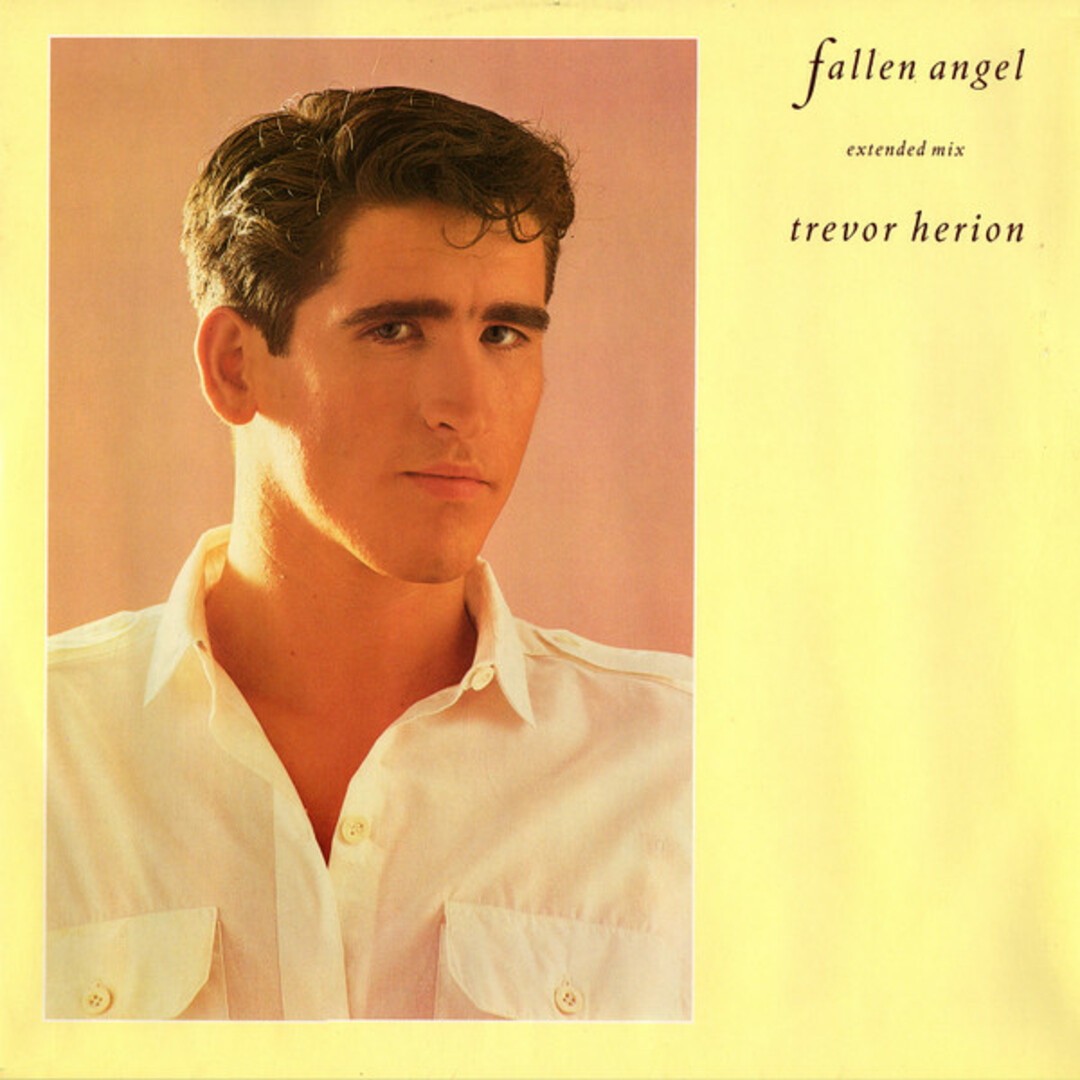 英12” Trevor Herion Fallen Angel 12IN5 Interdisc, Interdisc /00250 エンタメ/ホビーのエンタメ その他(その他)の商品写真