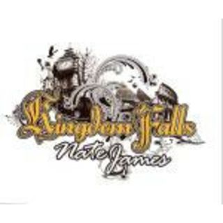英12” Nate James Kingdom Falls FROTS003 Frofunk /00250(その他)