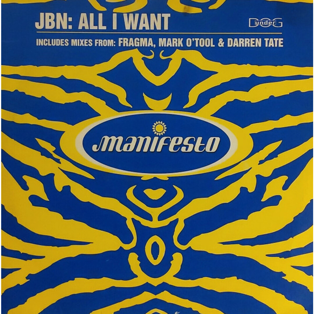 英12" JBN All I Want 5689051 Manifesto /00250 エンタメ/ホビーのエンタメ その他(その他)の商品写真