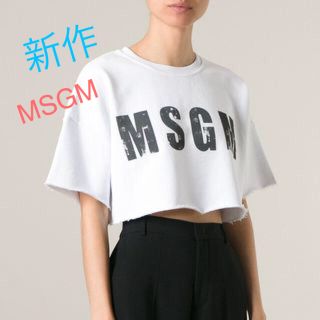 エムエスジイエム(MSGM)のローラ愛用 ❤️ MSGM スウェット ロゴＴシャツ 正規 新品 タグ付き(Tシャツ(半袖/袖なし))