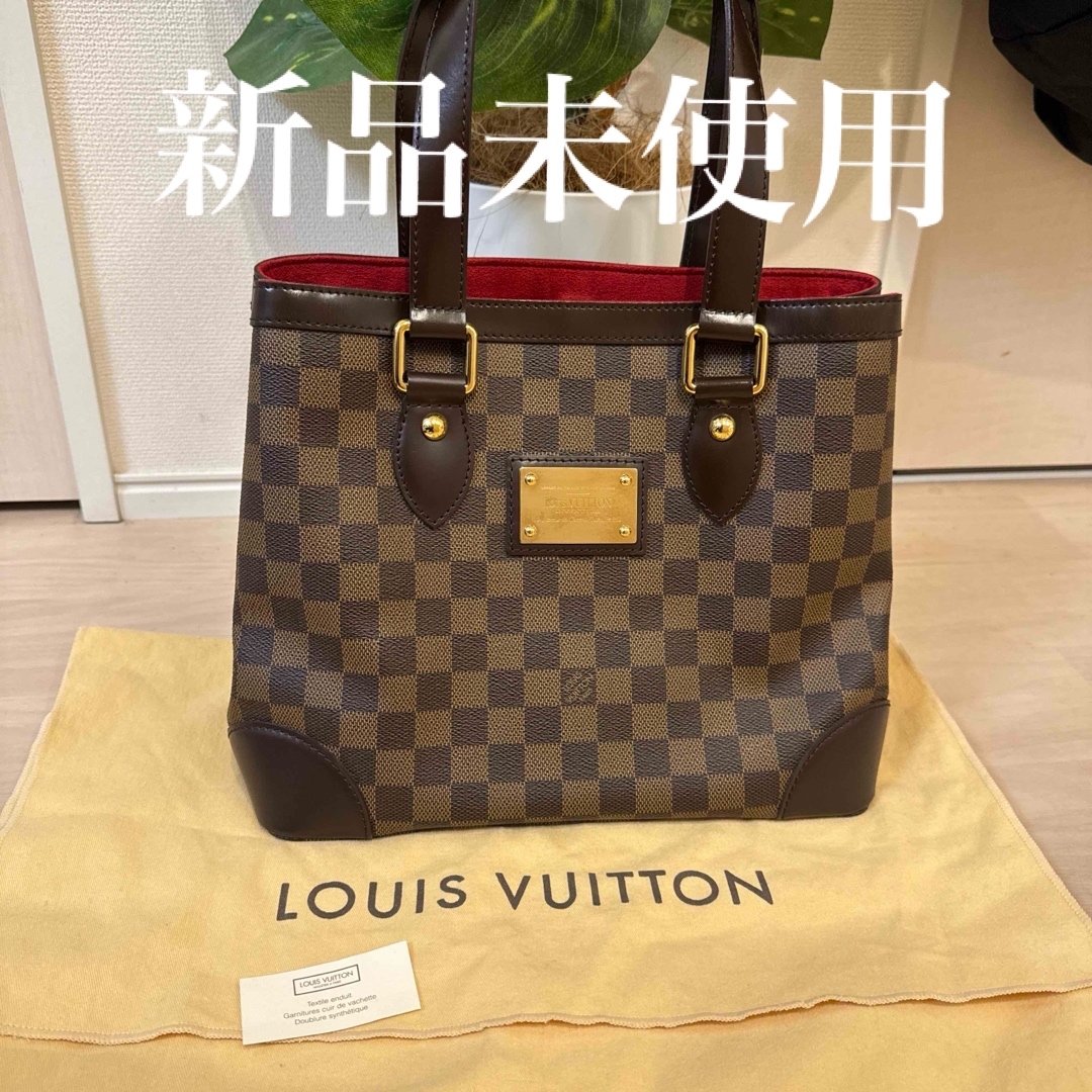 LOUIS VUITTON - 新品未使用✨️ルイヴィトン ダミエ LOUIS VUITTON - 新品未使用✨️ルイヴィトン ダミエ