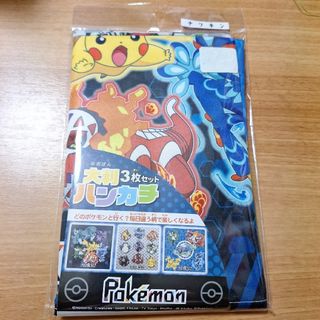 ポケモン - 冒険しましょう! イーブイ サンダース ポケモン ポケモン - 冒険しましょう! イーブイ サンダース ポケモン