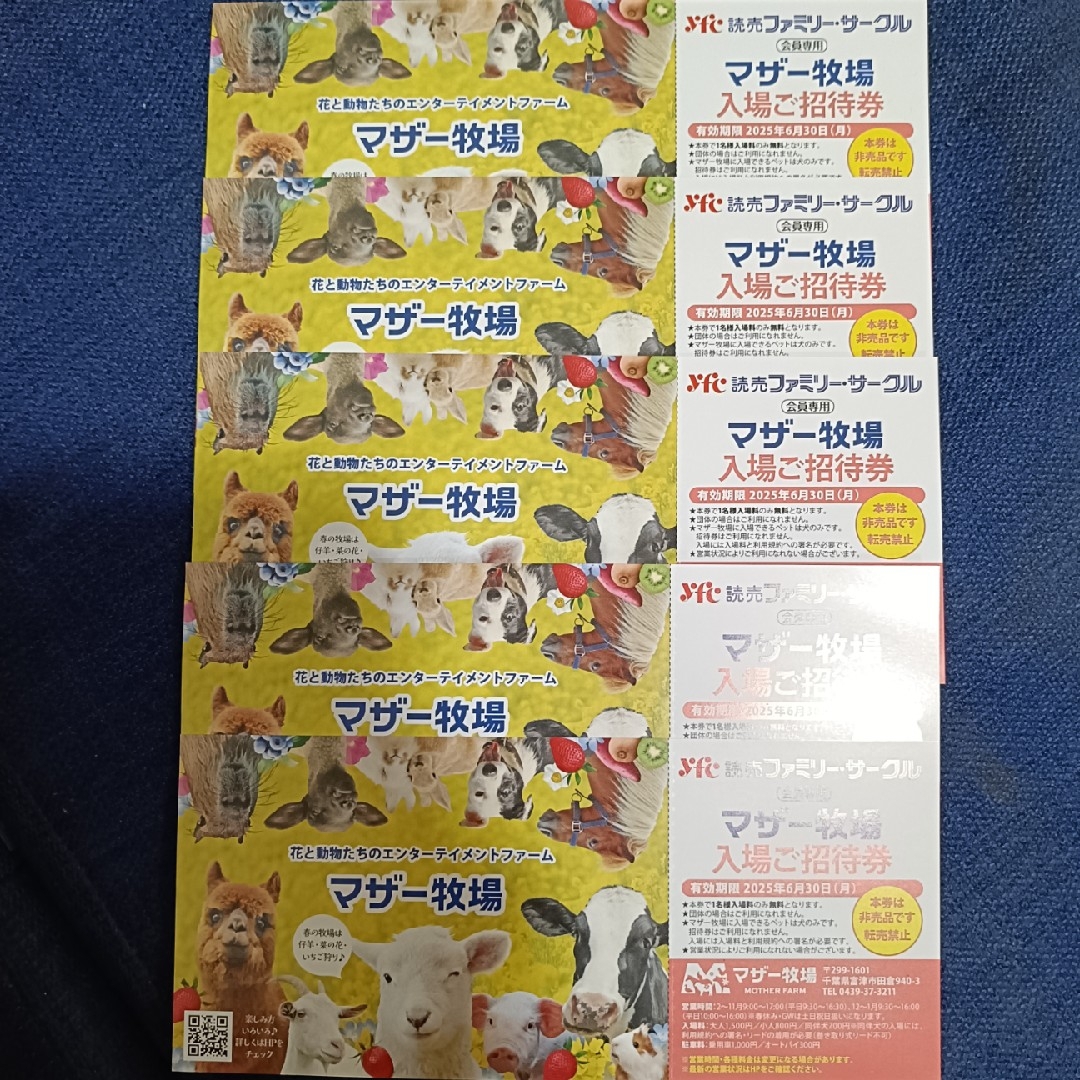 マザー牧場 5枚 入場ご招待券 チケットの施設利用券(遊園地/テーマパーク)の商品写真
