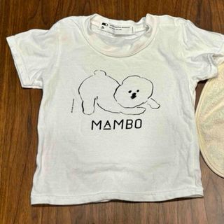 MAMBO マンボ　80cm Tシャツ