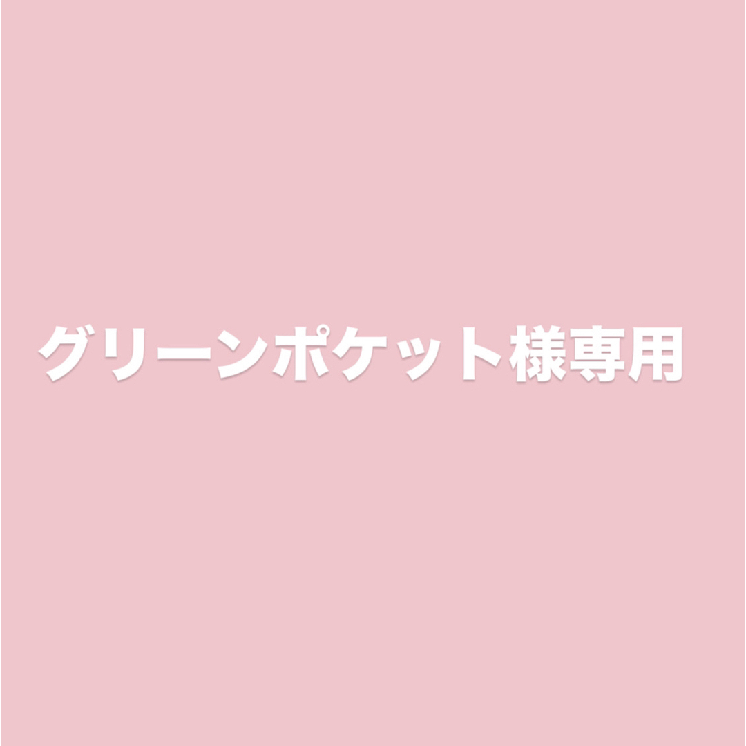グリーンポケット様専用 その他のペット用品(犬)の商品写真
