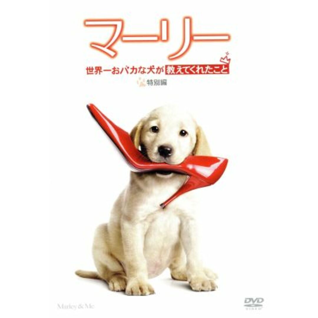 マーリー 世界一おバカな犬が教えてくれたこと 特別編 エンタメ/ホビーのDVD/ブルーレイ(外国映画)の商品写真