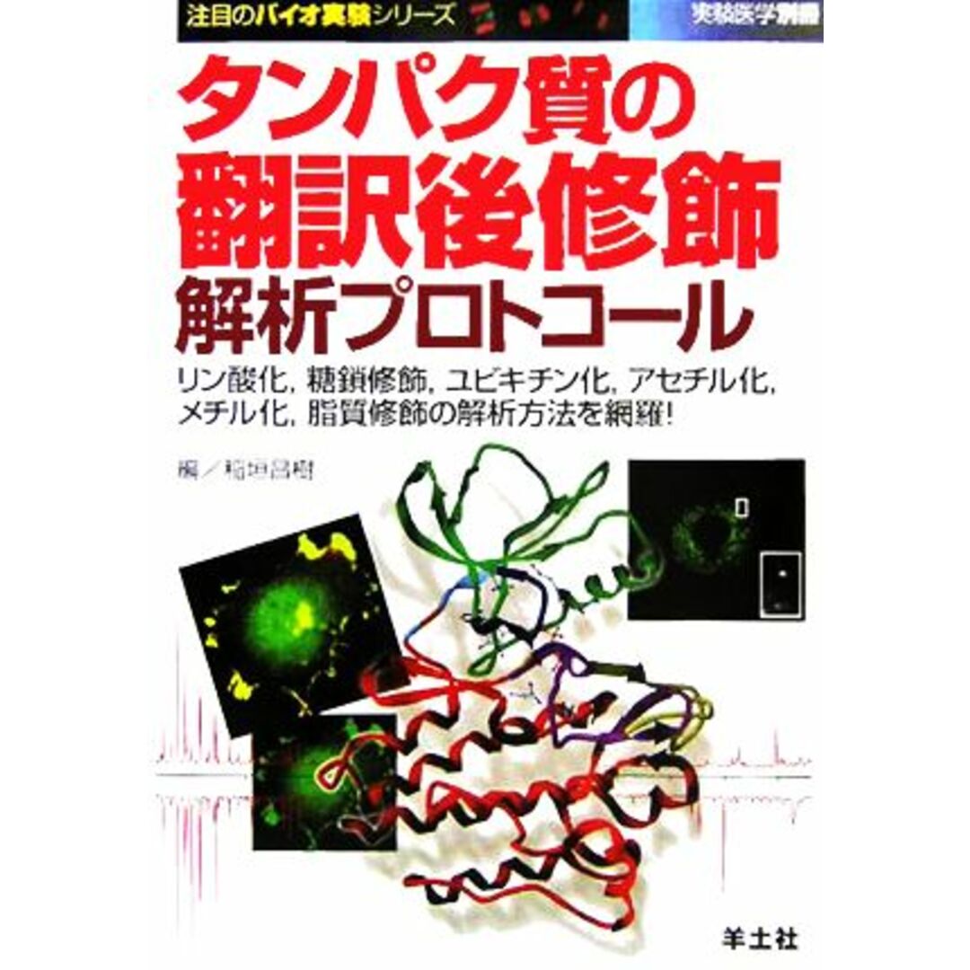 タンパク質の翻訳後修飾解析プロトコール リン酸化、糖鎖修飾、ユビキチン化、アセチル化、メチル化、脂質修飾の解析方法を網羅! 注目のバイオ実験シリーズ/稲垣昌樹(編者) エンタメ/ホビーの本(科学/技術)の商品写真