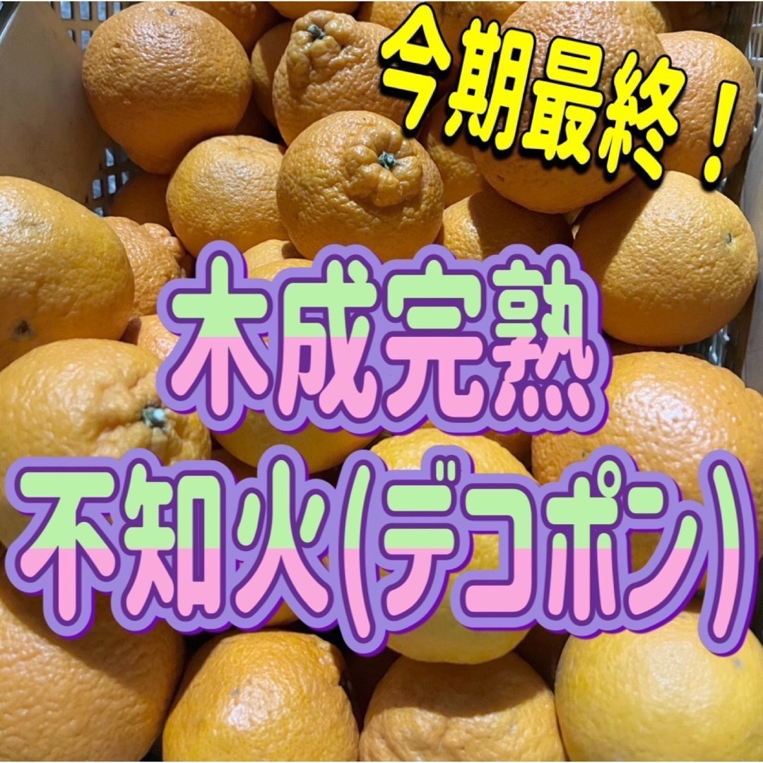 デコポン 不知火 ご家庭用 約5キロ サイズ混合 美品 食品/飲料/酒の食品(フルーツ)の商品写真